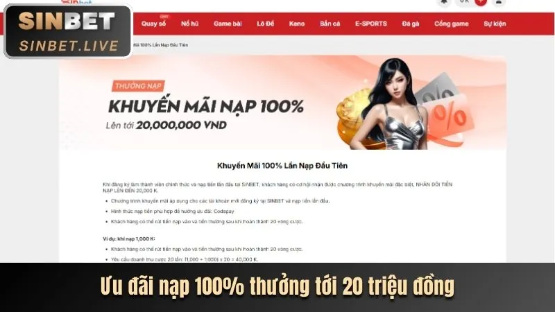 Đặc quyền VIP độc quyền